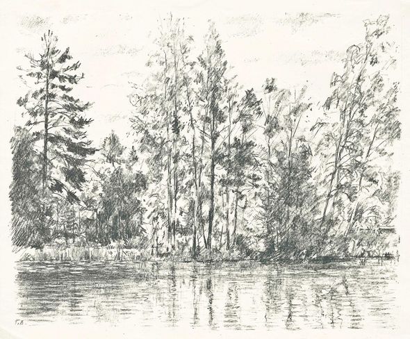 Trees by the lake